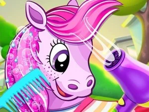 Salone per animali pony